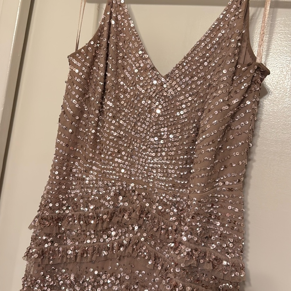 Adrianna Papell Sequin Embellished Gown in Rose Gold